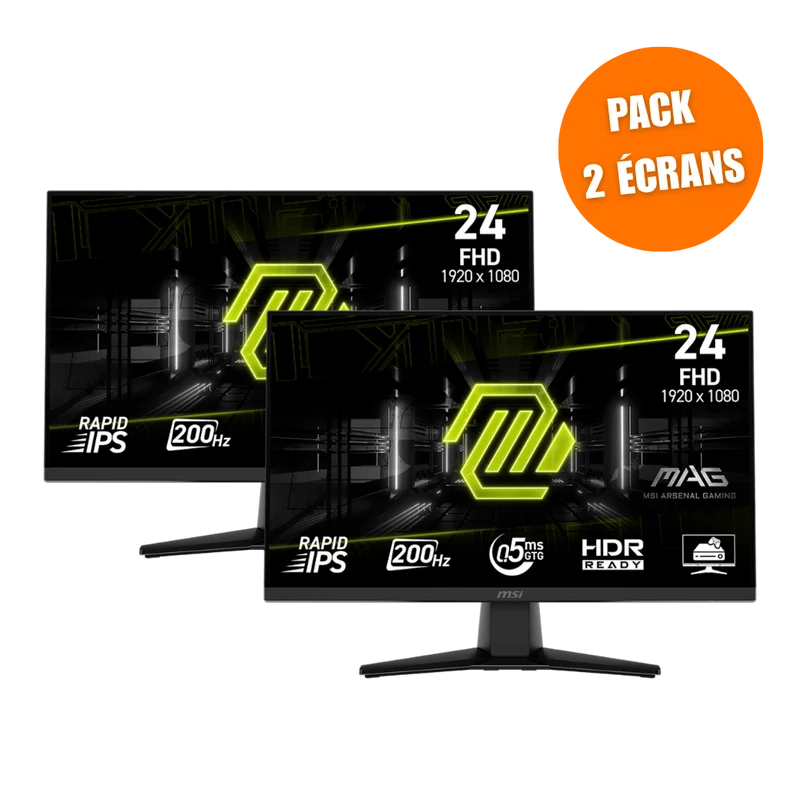MSI MAG 242F - Pack de 2