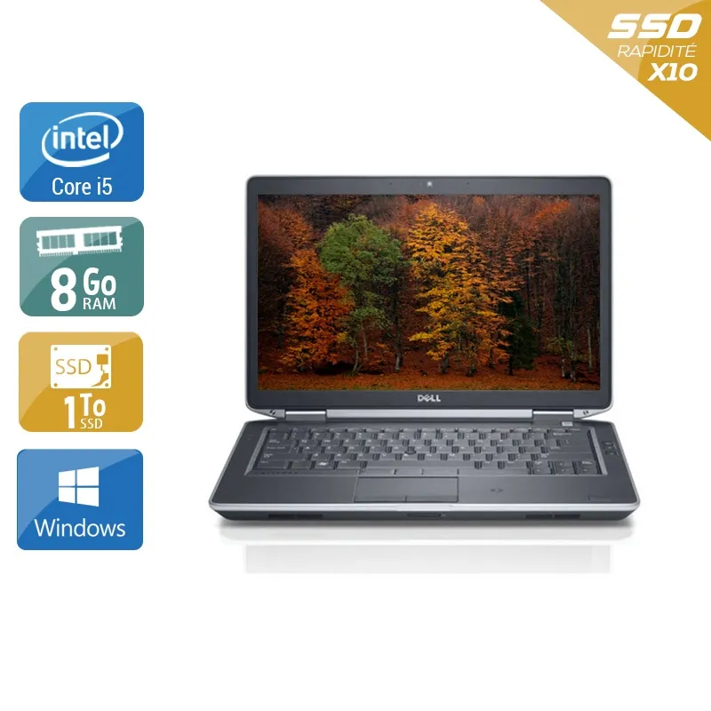 Latitude E5430 14,1" 2012 - Intel Core i5 2,6Ghz - 4 - 8Go DDR3 - 1To SSD - Intel HD Graphics 4000 - Gris / Noir - Windows 10 - AZERTY