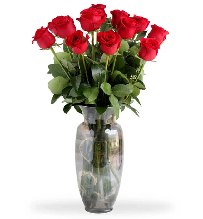 RAMO DE 12 ROSAS ROJAS